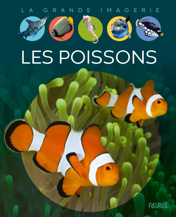 Knjiga Les poissons Renée Le Bloas-julienne