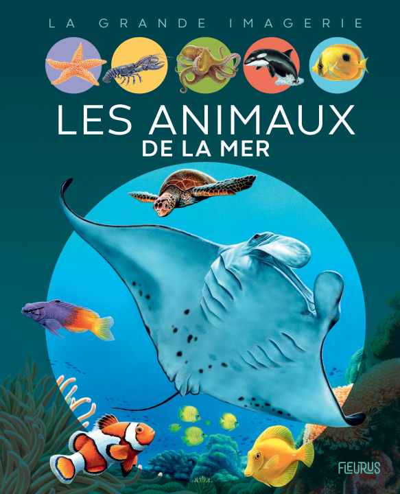 Kniha Les animaux de la mer Emilie Beaumont