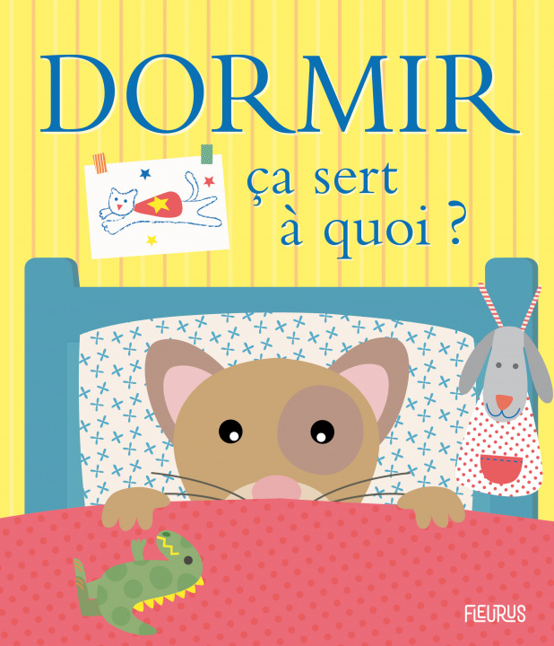 Knjiga Dormir Sophie Bellier