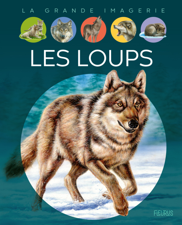 Książka Les loups Agnès VANDEWIELE