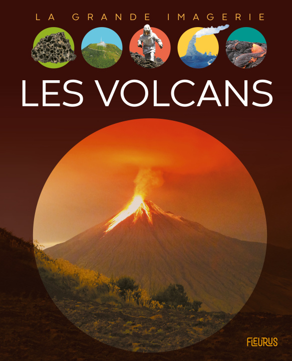 Buch Les volcans Giampietro Costa