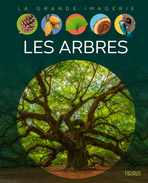 Knjiga Les arbres Emmanuelle Figueras