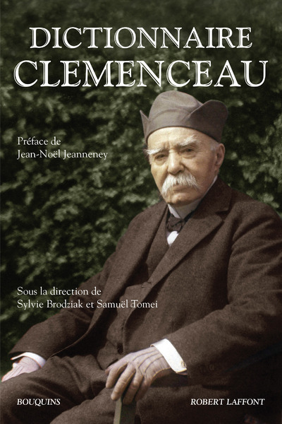 Buch Dictionnaire Clemenceau Sylvie Brodziak