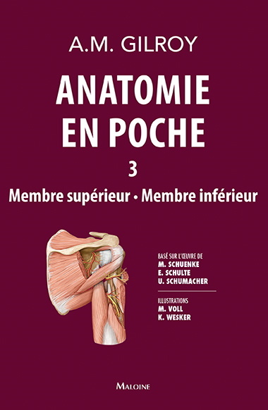 Buch anatomie en poche vol 3 GILROY .