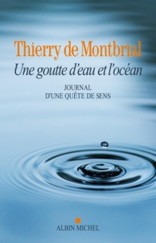 Książka Une goutte d'eau et l'océan Thierry de Montbrial