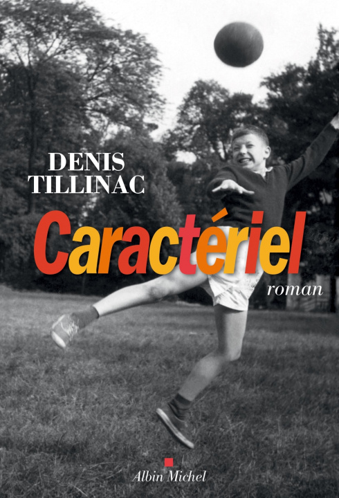 Libro Caractériel Denis Tillinac