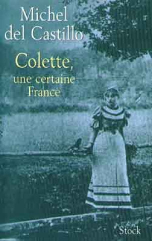 Buch Colette, une certaine France Michel del Castillo