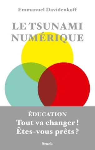 Book LE TSUNAMI NUMERIQUE Emmanuel Davidenkoff