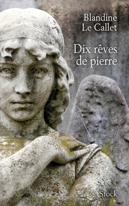 Boek Dix reves de pierre Blandine Le Callet