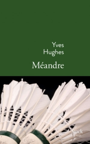 Knjiga MEANDRE Yves Hughes