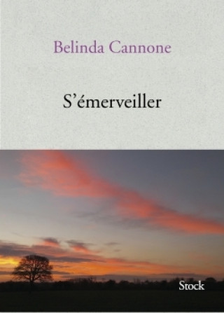 Libro S'émerveiller Belinda Cannone
