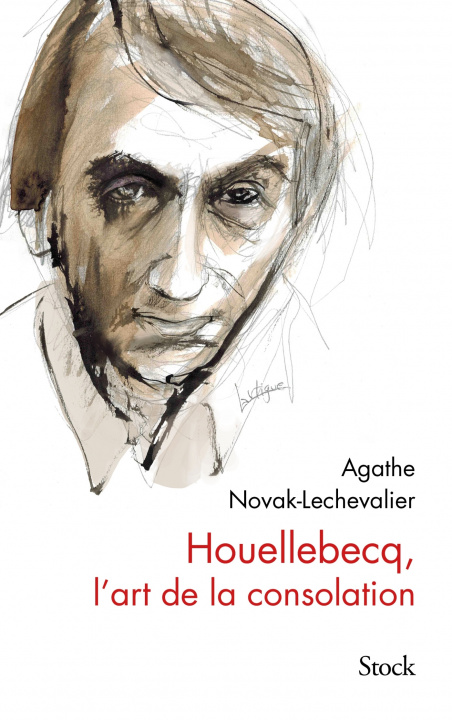 Könyv Houellebecq, l'art de la consolation Agathe Novak-Lechevalier