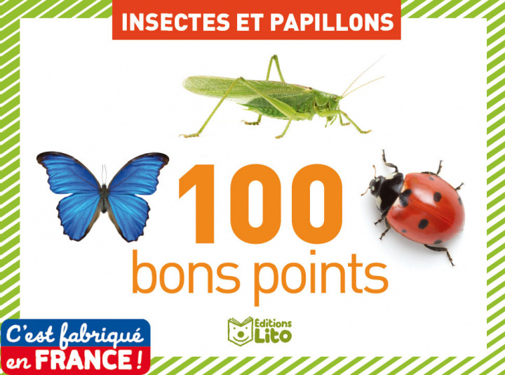 Boek 100  BONS POINTS INSECTES PAPI 