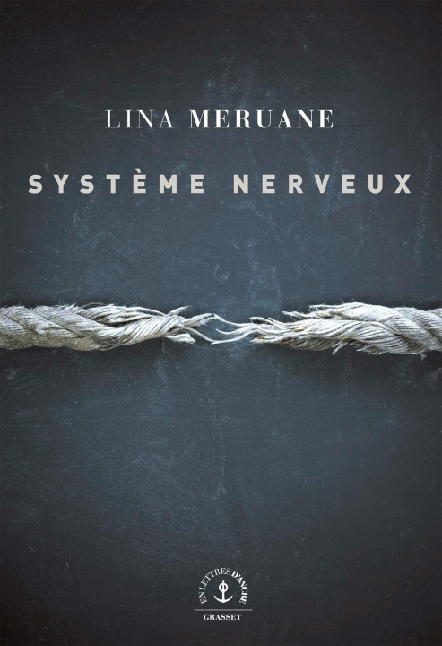 Kniha Système nerveux Lina Meruane