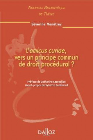 Könyv L'amicus curiae, vers un principe commun de droit procédural - Volume 97 Séverine Menétrey