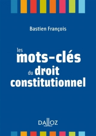 Kniha Les mots-clés du droit constitutionnel Bastien François
