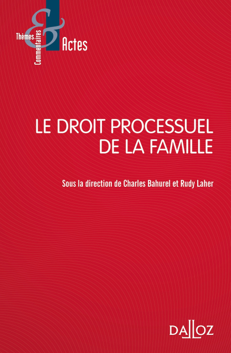 Kniha Le droit processuel de la famille Rudy Laher