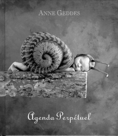 Kniha AGENDA PERPETUEL Anne Geddes