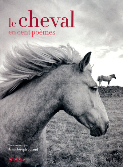 Kniha Le cheval en cent poèmes Jean-Joseph Julaud