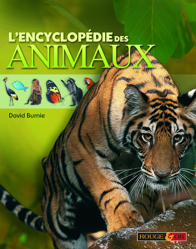 Carte ENCYCLOPEDIE DES ANIMAUX David Burnie