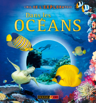 Könyv DANS LES OCEANS Stephen Savages