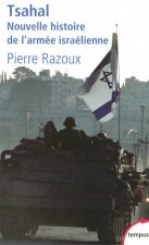 Carte Tsahal nouvelle histoire de l'armée israélienne Pierre Razoux