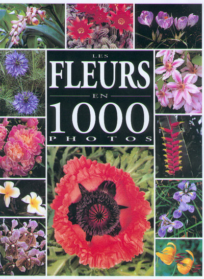 Kniha Les fleurs en 1000 photos Michel Viard