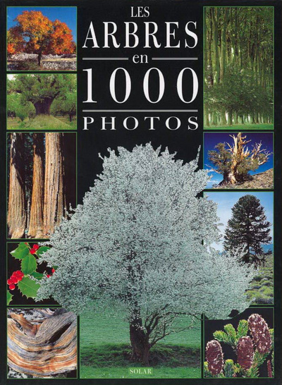 Kniha Les arbres en 1000 photos Michel Viard