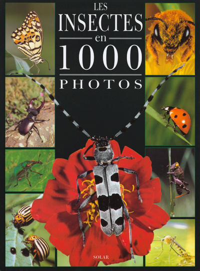 Buch Les insectes en 1000 photos Patrick Glémas