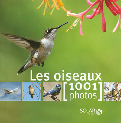 Kniha Les oiseaux en 1001 photos Michel Viard