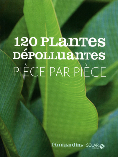 Kniha 120 Plantes dépolluantes Rosenn Le Page