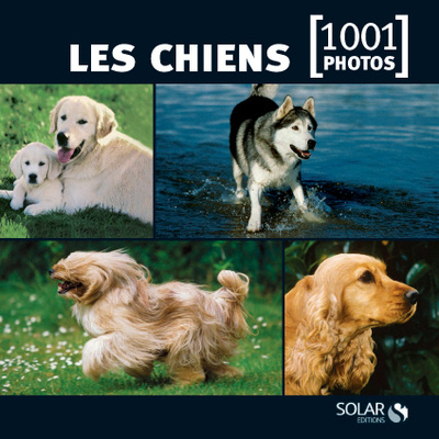 Kniha Les chiens en 1001 photos - ned - 