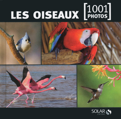 Kniha Les oiseaux - 1001 photos -nouvelle édition- Michel Viard