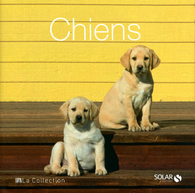 Knjiga Chiens - La collection Vito Buono