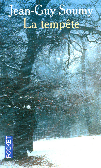 Buch La tempête Jean-Guy Soumy