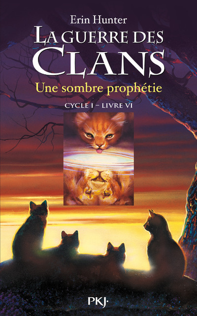 Carte La guerre des Clans - cycle I - tome 6 Une sombre prophétie Erin Hunter