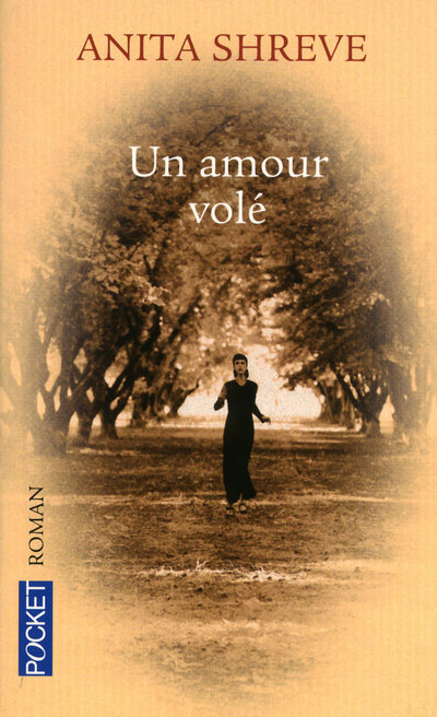 Knjiga Un amour volé Anita Shreve