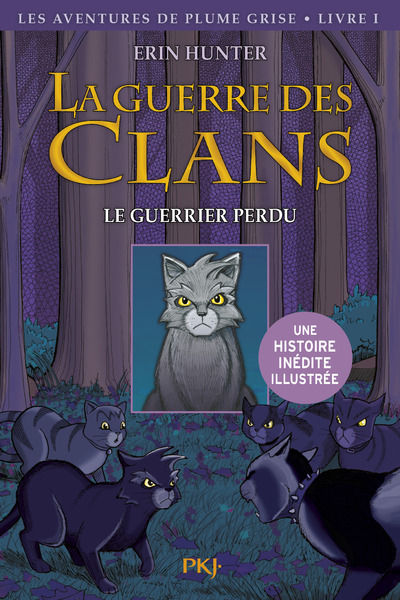 Kniha La guerre des Clans - tome 1 Le guerrier perdu -illustré- Erin Hunter