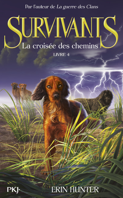 Kniha Survivants - tome 4 La croisée des chemins Erin Hunter