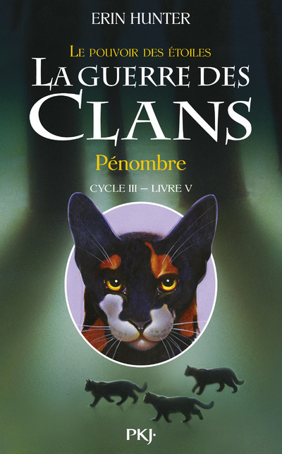 Kniha La guerre des Clans - cycle III Le pouvoir des étoiles - tome 5 Pénombre Erin Hunter