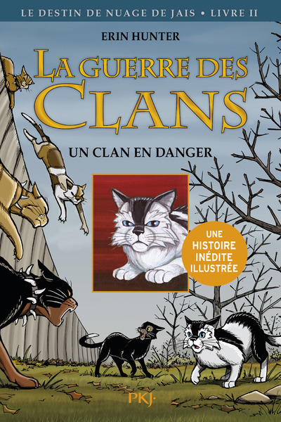Könyv La guerre des Clans cycle II - tome 2 Un clan en danger - Version illustrée Erin Hunter