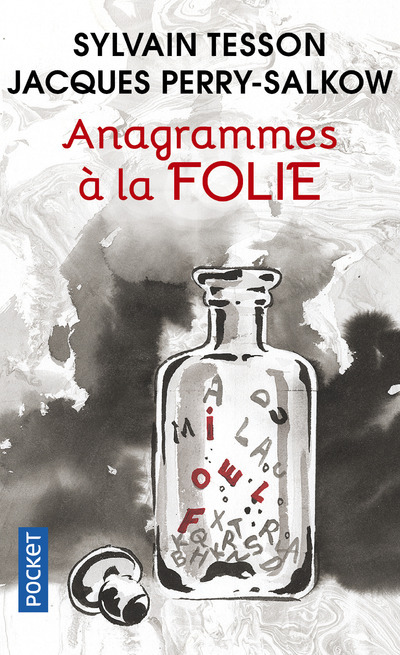 Könyv Anagrammes à la FOLIE Sylvain Tesson