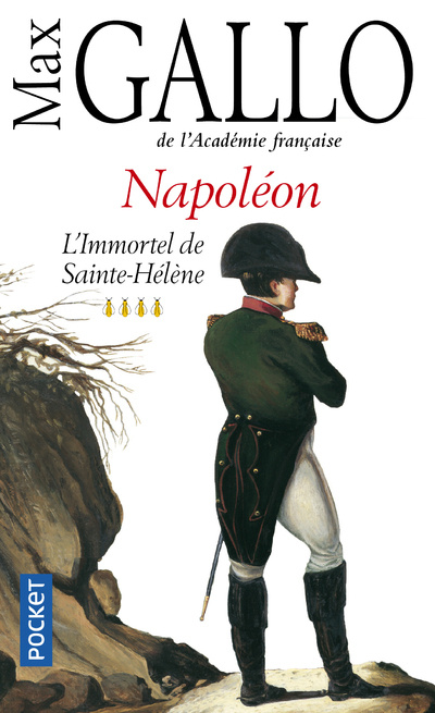 Könyv Napoleon 4 Max Gallo