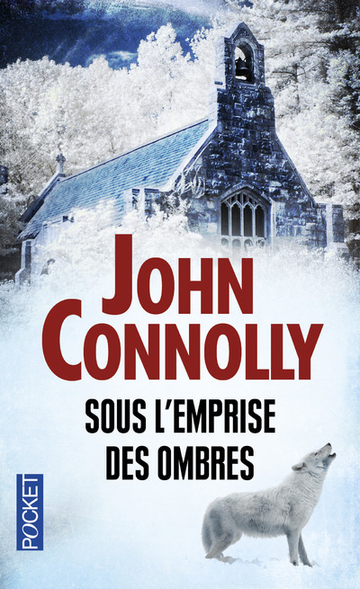 Kniha Sous l'emprise des ombres John Connolly
