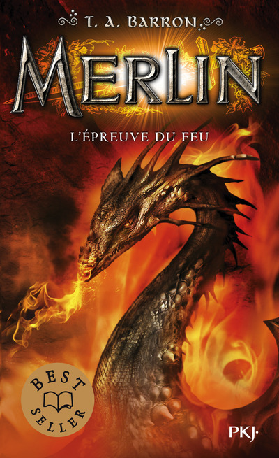 Kniha Merlin - tome 3 L'épreuve du feu T. A. Barron