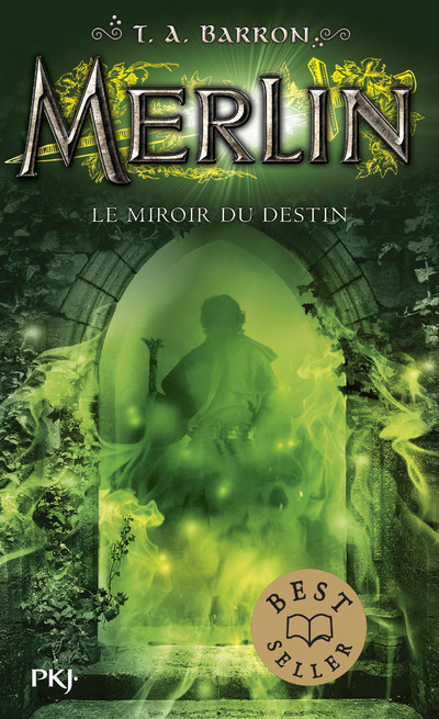Kniha Merlin - tome 4 Le miroir du destin T. A. Barron