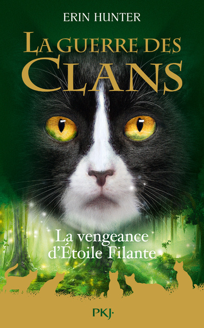 Könyv La Guerre des Clans : La Vengeance d'Etoile Filante - Hors série Erin Hunter
