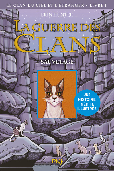 Kniha La guerre des Clans illustrée - Cycle IV Le clan du Ciel et l'étranger - tome 1 Sauvetage Erin Hunter