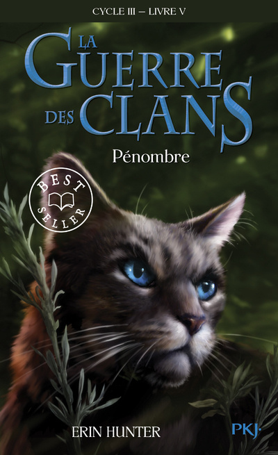 Kniha La guerre des Clans - Cycle III Le pouvoir des étoiles - tome 5 Pénombre Erin Hunter