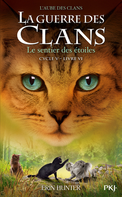 Carte La guerre des Clans - Cycle V L'aube des clans - tome 6 Le sentier des étoiles Erin Hunter